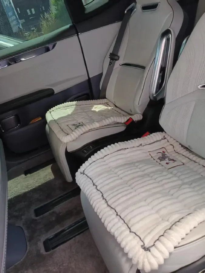 2021 HiPhi X BEV 97KWH,autocango,china used car exporter,china ev exporter,chinese used car exporter,chinese used ev exporter