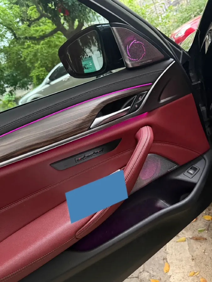 2021 BMW 5 Series 2.0T 252HP L4 8AT,autocango,china used car exporter,china ev exporter,chinese used car exporter,chinese used ev exporter