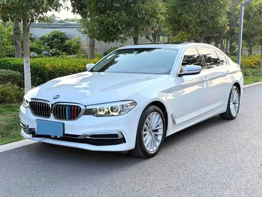 2020 BMW 5 Series 2.0T 184HP L4 8AT,autocango,china used car exporter,china ev exporter,chinese used car exporter,chinese used ev exporter