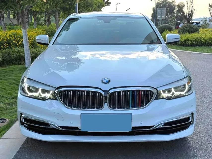 2020 BMW 5 Series 2.0T 184HP L4 8AT,autocango,china used car exporter,china ev exporter,chinese used car exporter,chinese used ev exporter