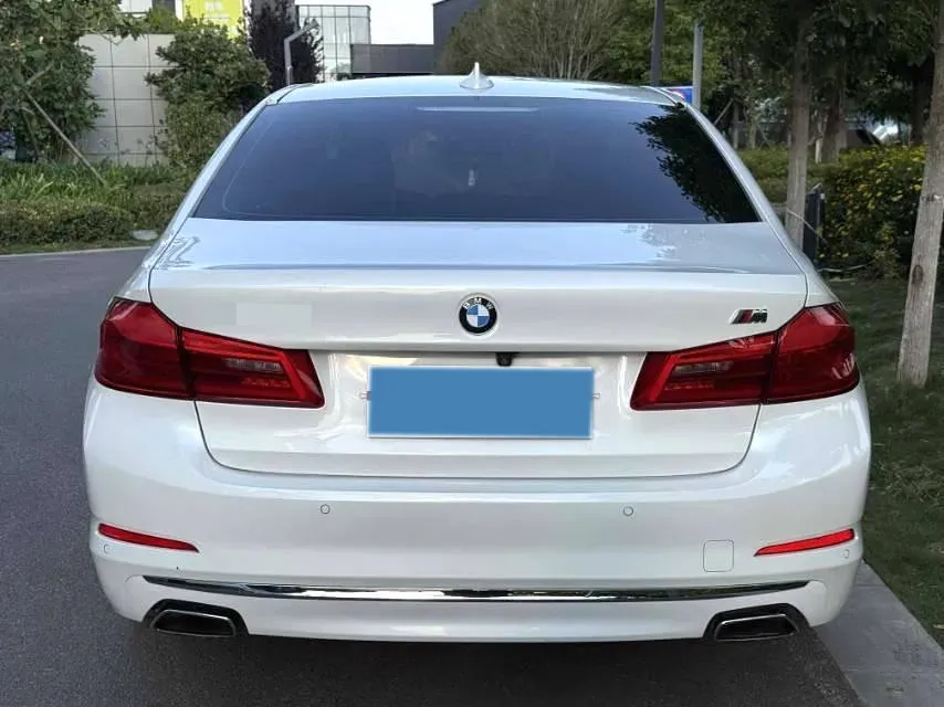 2020 BMW 5 Series 2.0T 184HP L4 8AT,autocango,china used car exporter,china ev exporter,chinese used car exporter,chinese used ev exporter