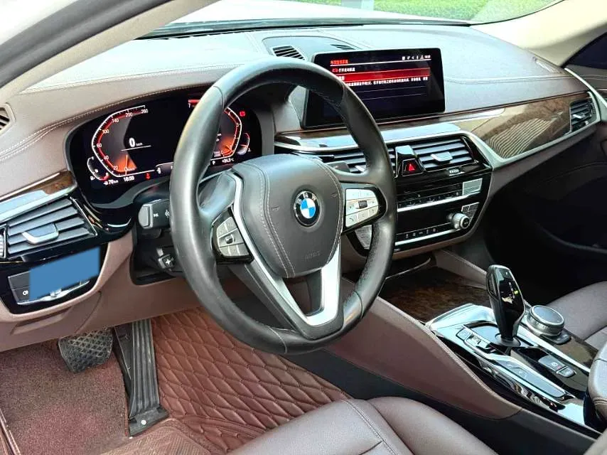 2020 BMW 5 Series 2.0T 184HP L4 8AT,autocango,china used car exporter,china ev exporter,chinese used car exporter,chinese used ev exporter