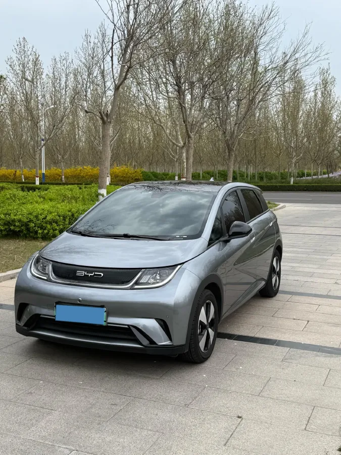 2023 BYD Dolphin BEV 44.928KWH,autocango,china used car exporter,china ev exporter,chinese used car exporter,chinese used ev exporter