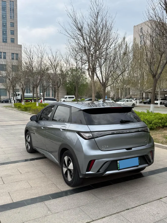 2023 BYD Dolphin BEV 44.928KWH,autocango,china used car exporter,china ev exporter,chinese used car exporter,chinese used ev exporter