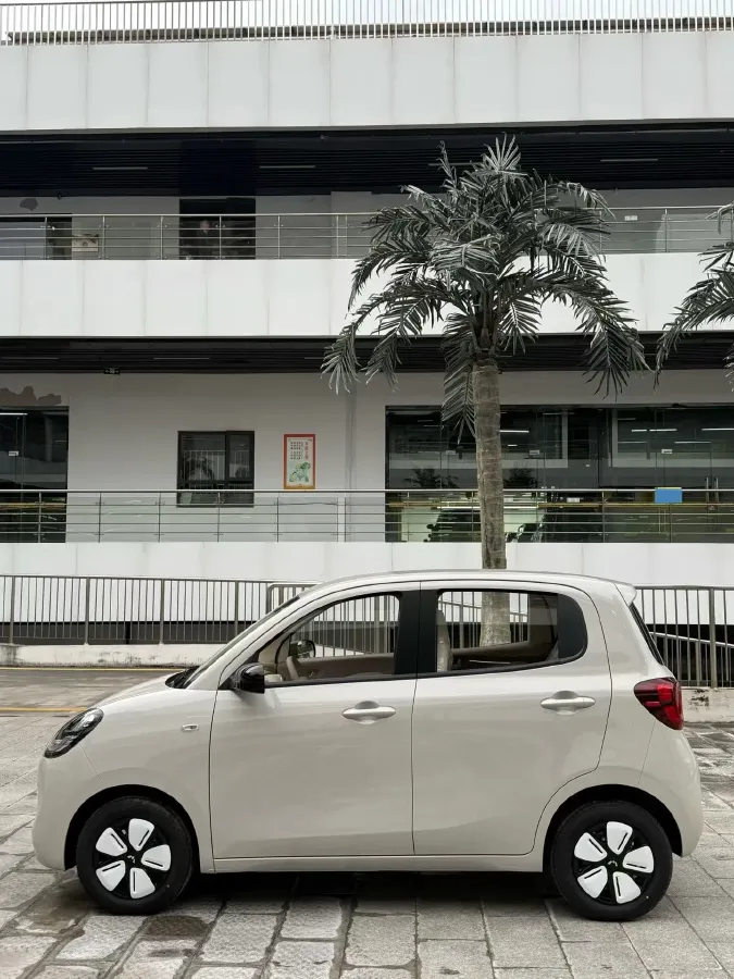 2025 WuLing HongGuang MINI EV BEV 16.2KWH,autocango,china used car exporter,china ev exporter,chinese used car exporter,chinese used ev exporter