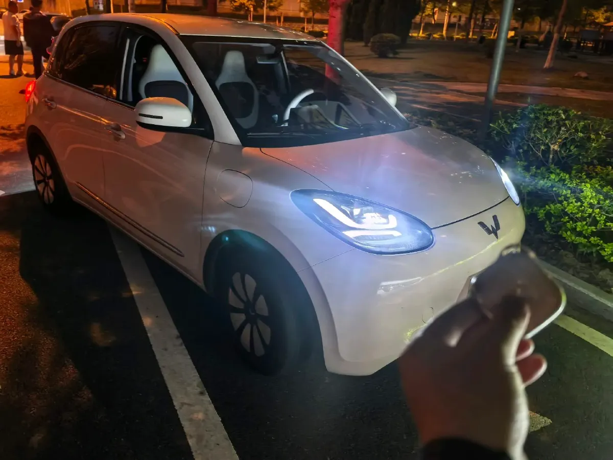 2024 WuLing BinGuo BEV 31.9KWH,autocango,china used car exporter,china ev exporter,chinese used car exporter,chinese used ev exporter