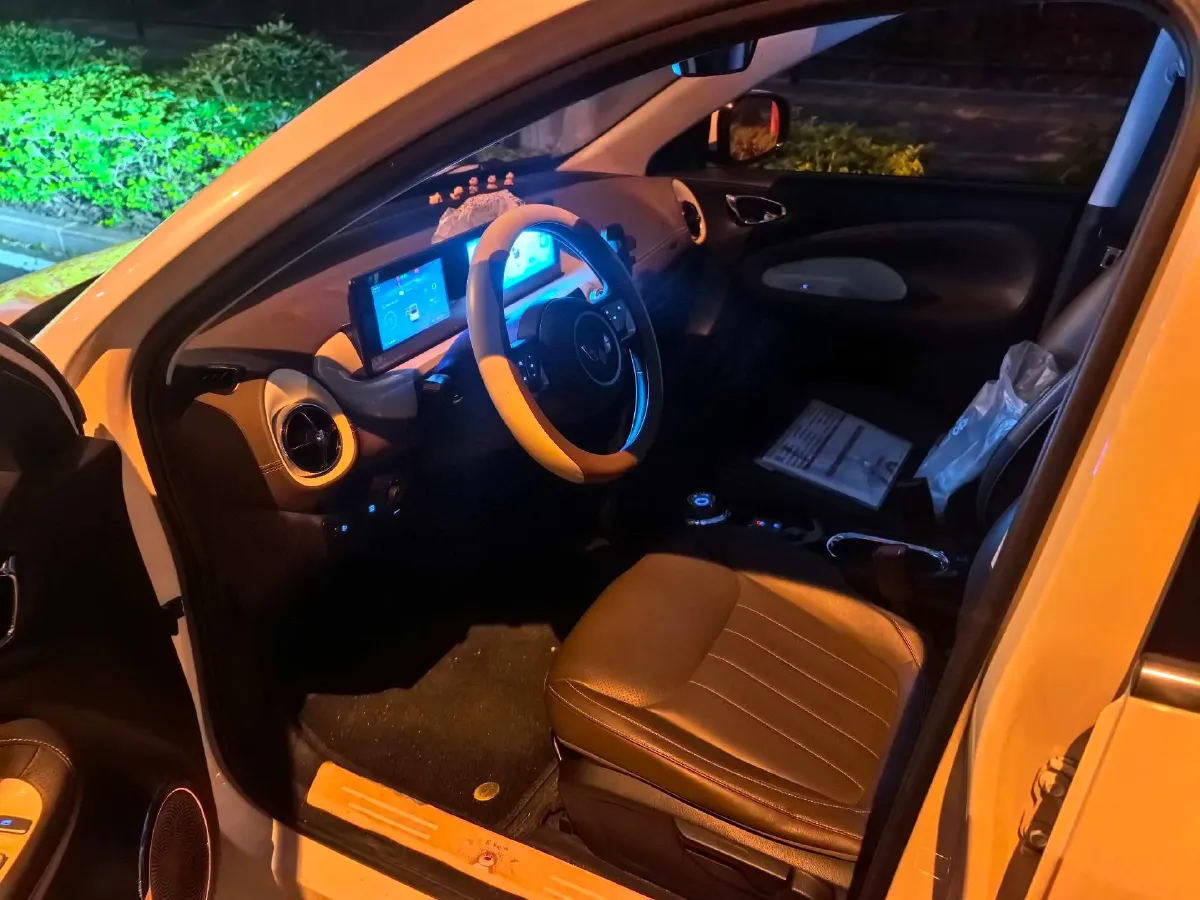 2024 WuLing BinGuo BEV 31.9KWH,autocango,china used car exporter,china ev exporter,chinese used car exporter,chinese used ev exporter