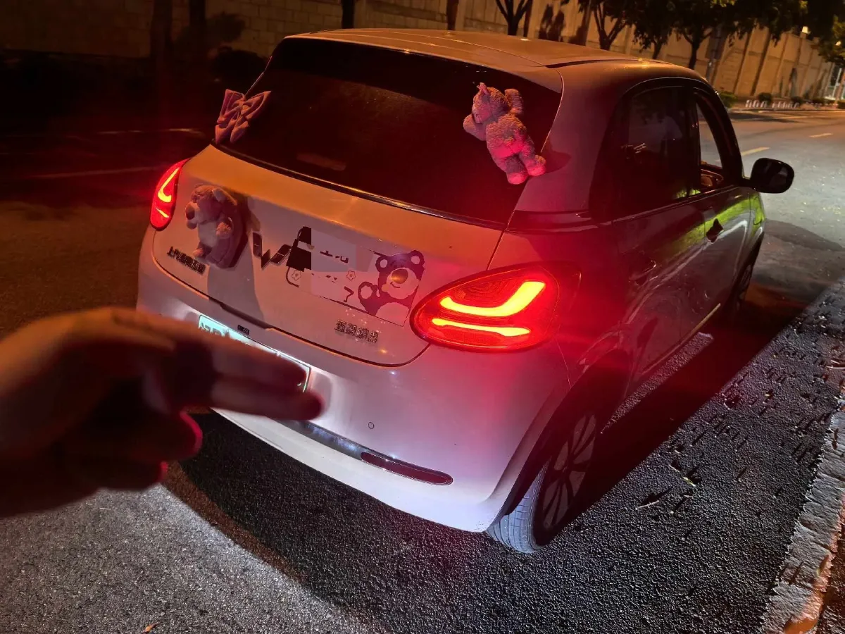 2024 WuLing BinGuo BEV 31.9KWH,autocango,china used car exporter,china ev exporter,chinese used car exporter,chinese used ev exporter