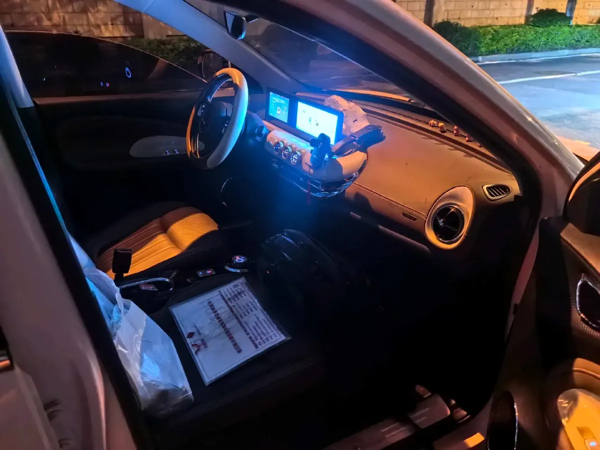 2024 WuLing BinGuo BEV 31.9KWH,autocango,china used car exporter,china ev exporter,chinese used car exporter,chinese used ev exporter