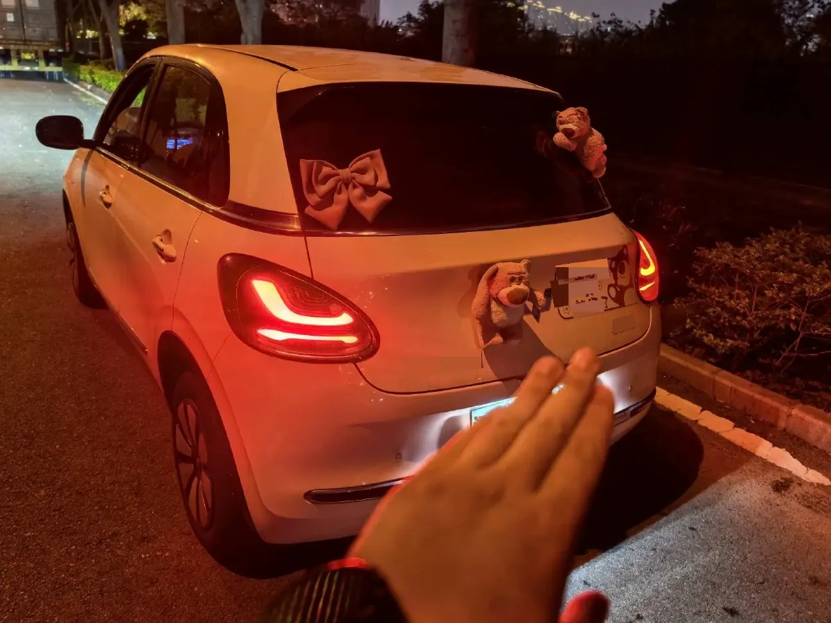 2024 WuLing BinGuo BEV 31.9KWH,autocango,china used car exporter,china ev exporter,chinese used car exporter,chinese used ev exporter