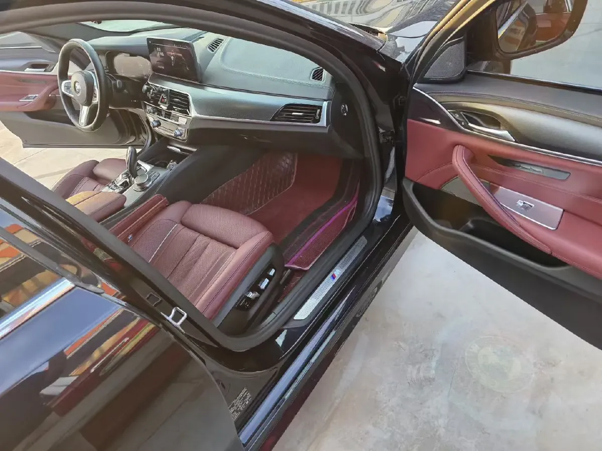 2021 BMW 5 Series 2.0T 184HP L4 8AT PHEV 17.7KWH,autocango,china used car exporter,china ev exporter,chinese used car exporter,chinese used ev exporter