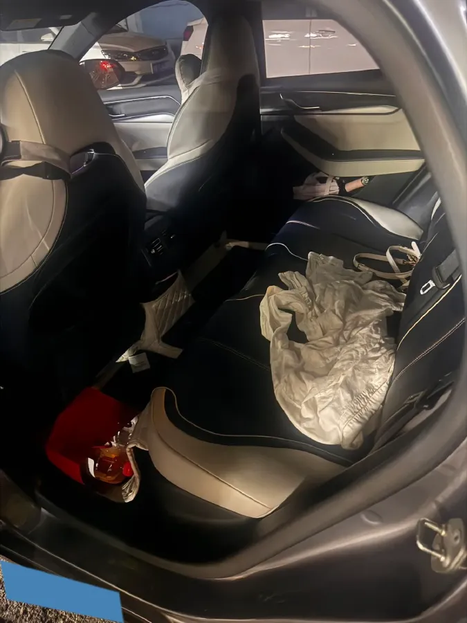 2021 DongFeng FuKang e Elysee BEV 38.4KWH,autocango,china used car exporter,china ev exporter,chinese used car exporter,chinese used ev exporter