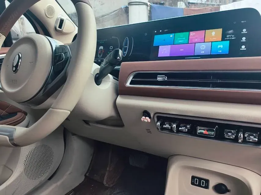 2021 Ora FunkyCat BEV 45.99KWH,autocango,china used car exporter,china ev exporter,chinese used car exporter,chinese used ev exporter