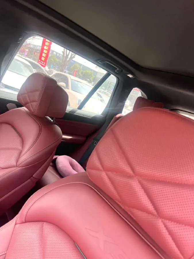 2023 BMW X5 3.0T 381HP L6 8AT,autocango,china used car exporter,china ev exporter,chinese used car exporter,chinese used ev exporter