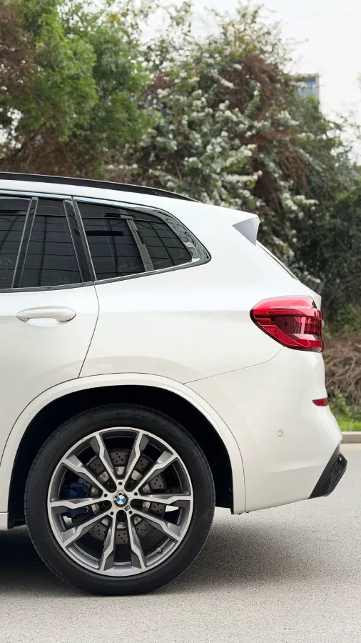 2021 BMW X3 2.0T 224HP L4 8AT,autocango,china used car exporter,china ev exporter,chinese used car exporter,chinese used ev exporter