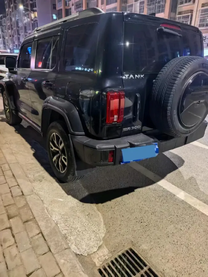 2023 Tank 300 2.0T 227HP L4 8AT,autocango,china used car exporter,china ev exporter,chinese used car exporter,chinese used ev exporter