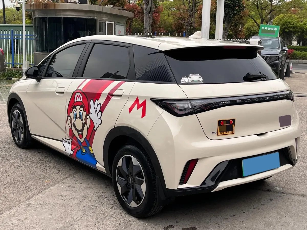 2025 BYD Dolphin BEV 44.928KWH,autocango,china used car exporter,china ev exporter,chinese used car exporter,chinese used ev exporter