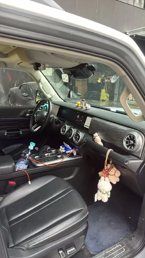 2021 Tank 300 2.0T 227HP L4 8AT,autocango,china used car exporter,china ev exporter,chinese used car exporter,chinese used ev exporter