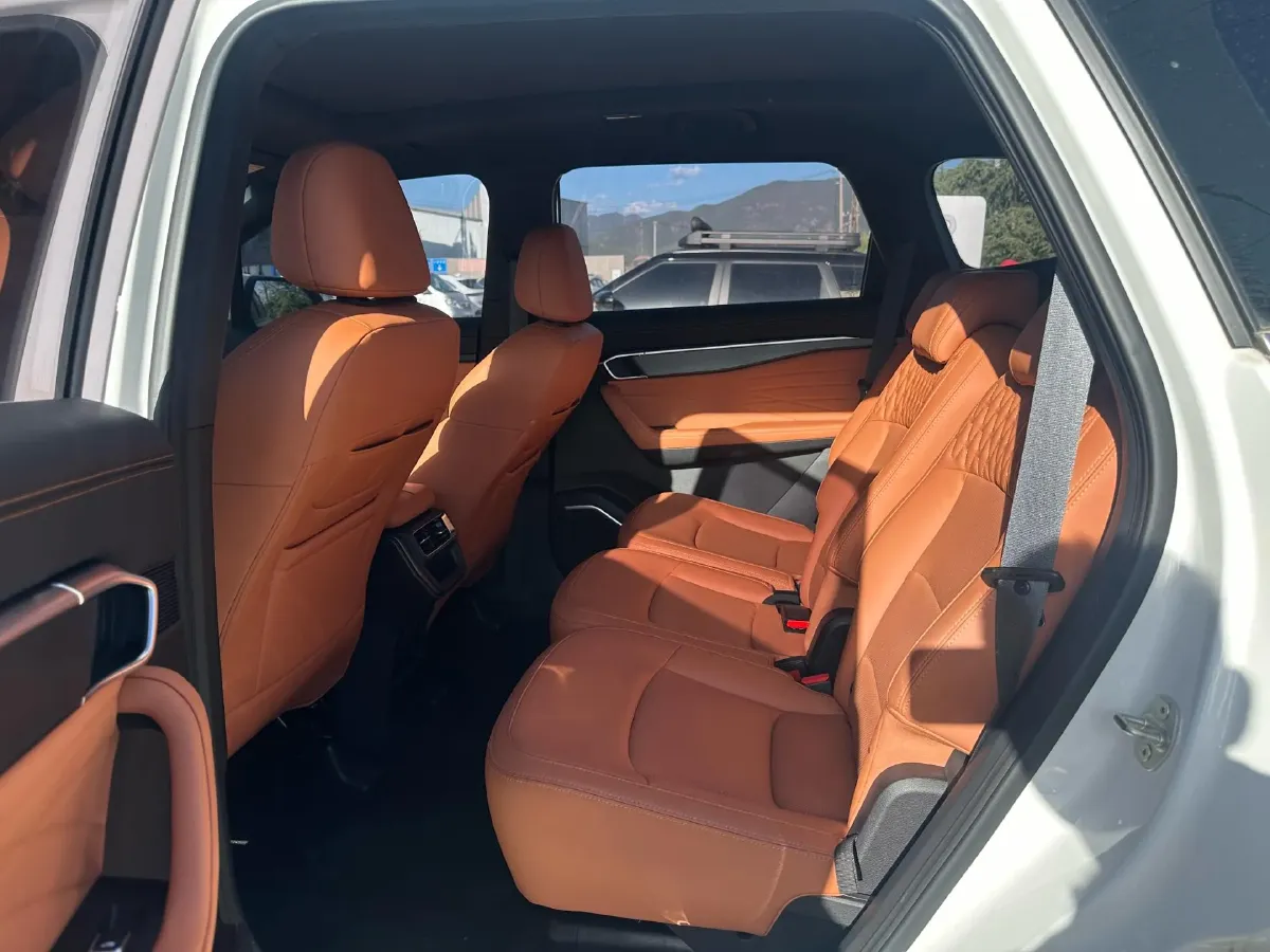 2024 Geely Okavango L 2.0T 218HP L4 7DCT,autocango,china used car exporter,china ev exporter,chinese used car exporter,chinese used ev exporter