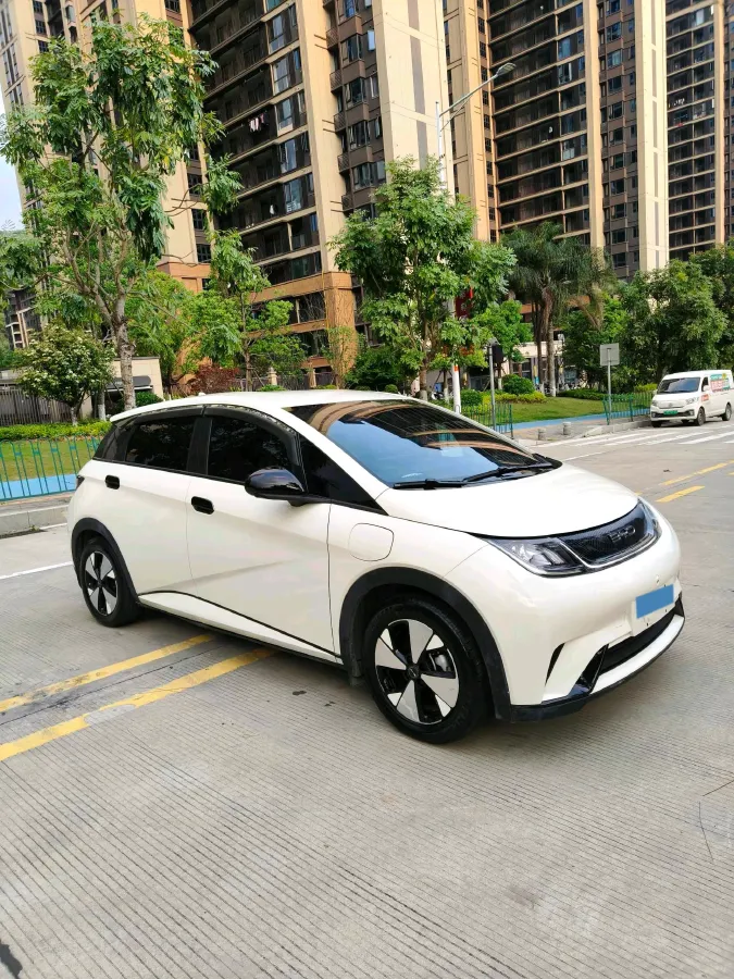 2023 BYD Dolphin BEV 44.928KWH,autocango,china used car exporter,china ev exporter,chinese used car exporter,chinese used ev exporter