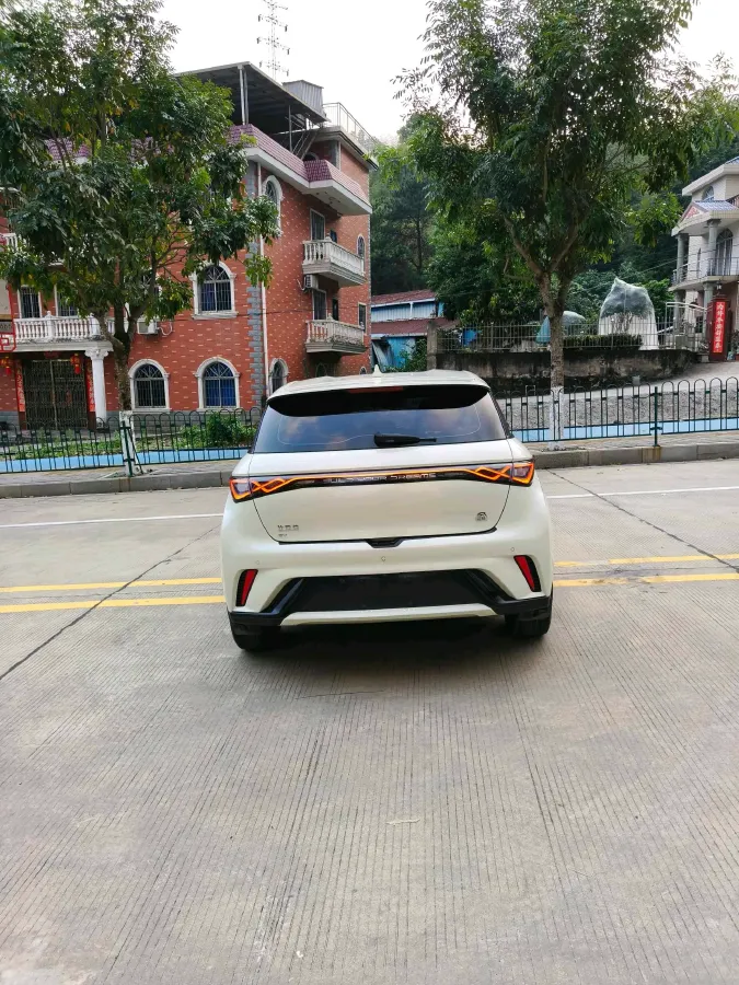 2023 BYD Dolphin BEV 44.928KWH,autocango,china used car exporter,china ev exporter,chinese used car exporter,chinese used ev exporter