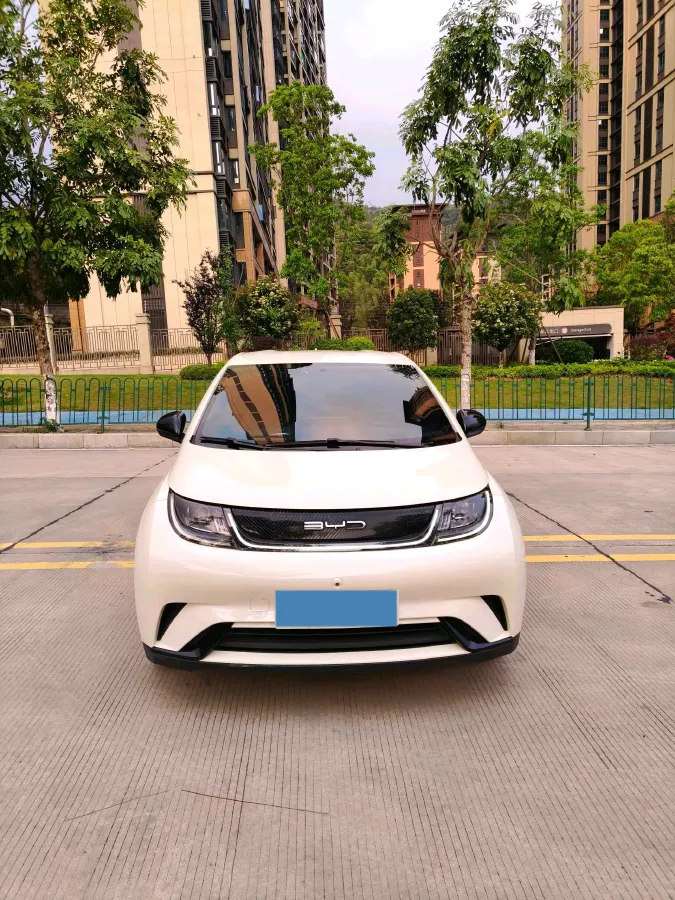 2023 BYD Dolphin BEV 44.928KWH,autocango,china used car exporter,china ev exporter,chinese used car exporter,chinese used ev exporter
