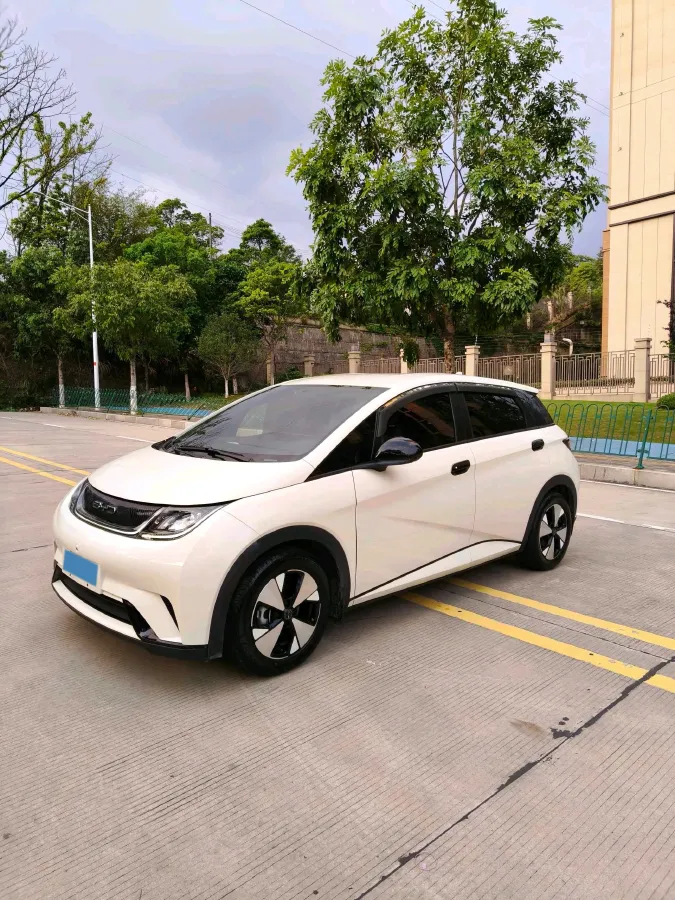 2023 BYD Dolphin BEV 44.928KWH,autocango,china used car exporter,china ev exporter,chinese used car exporter,chinese used ev exporter
