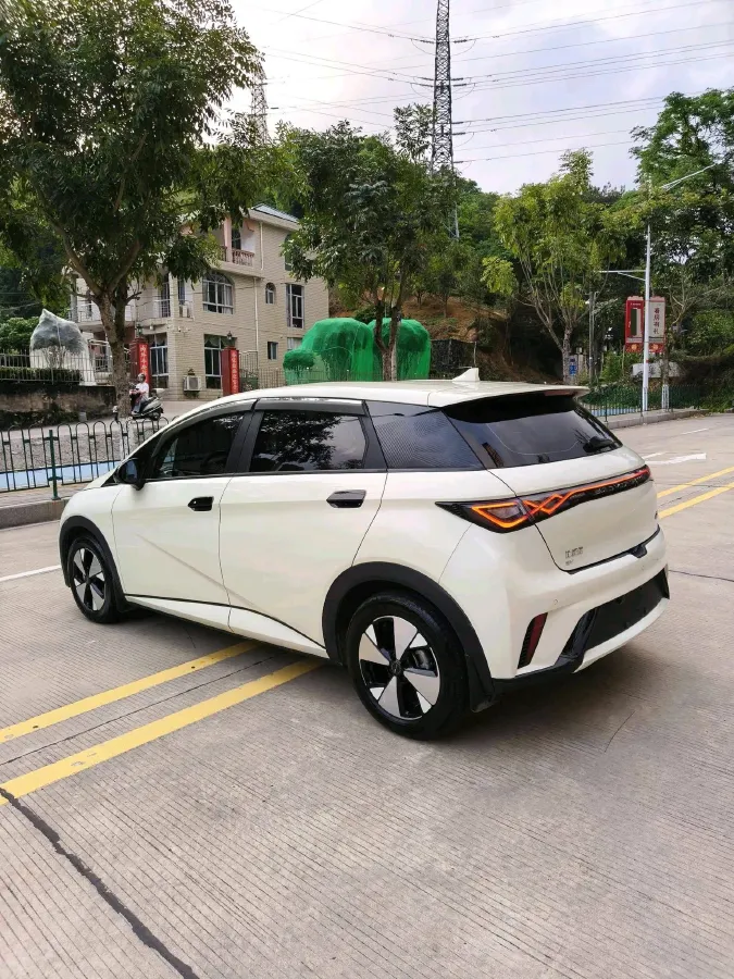 2023 BYD Dolphin BEV 44.928KWH,autocango,china used car exporter,china ev exporter,chinese used car exporter,chinese used ev exporter