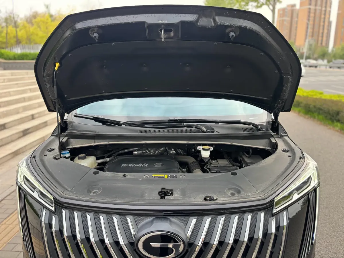 2024 GAC Trumpchi M8 2.0T 252HP L4 8AT,autocango,china used car exporter,china ev exporter,chinese used car exporter,chinese used ev exporter