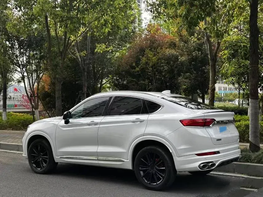 2021 Geely Tugella 2.0T 238HP L4 8AT,autocango,china used car exporter,china ev exporter,chinese used car exporter,chinese used ev exporter