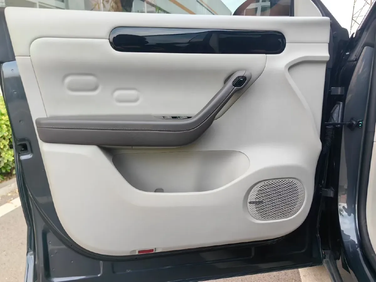 2023 Leapmotor C11 Range Extended 131HP REEV 30.1KWH,autocango,china used car exporter,china ev exporter,chinese used car exporter,chinese used ev exporter