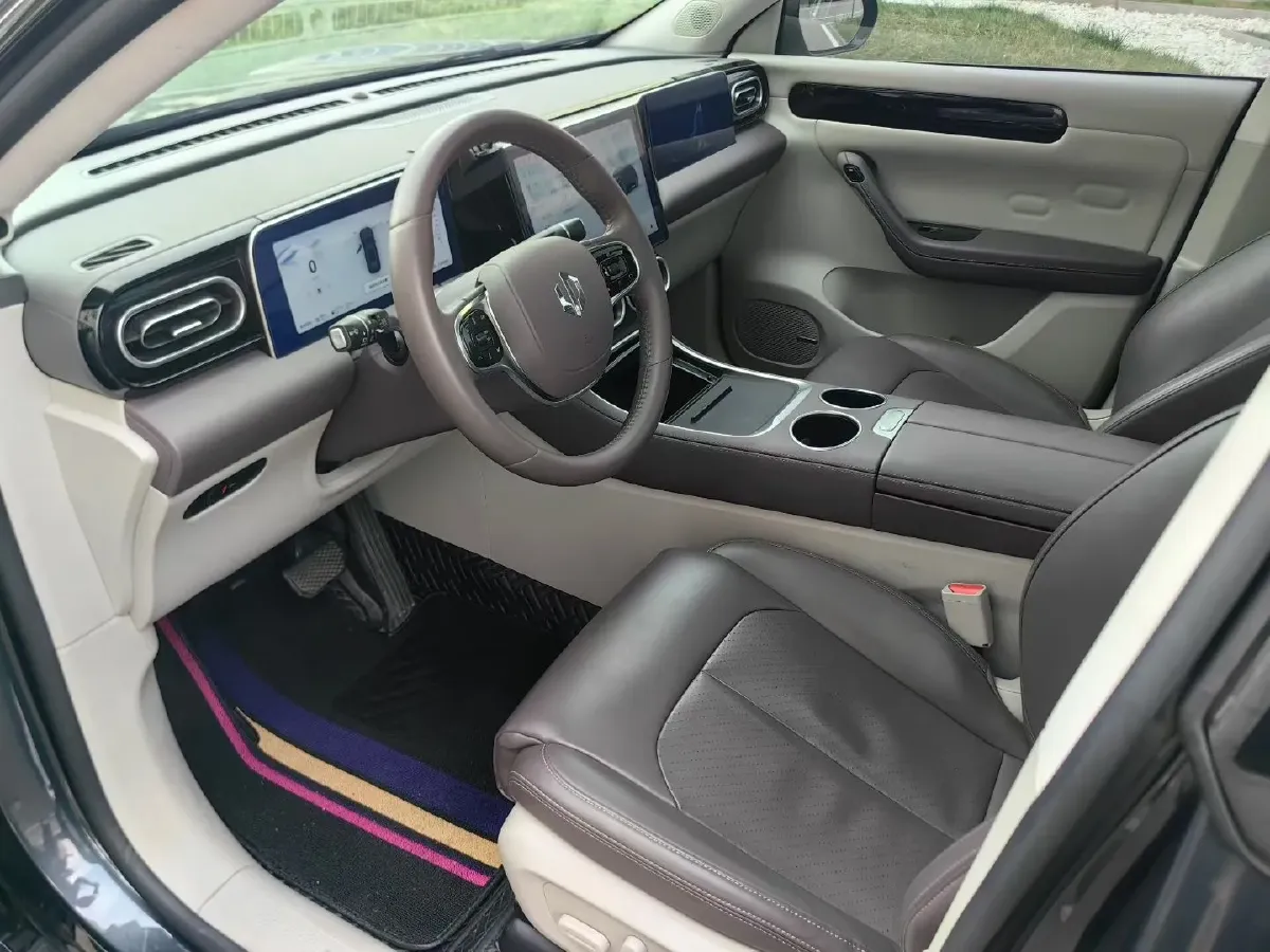 2023 Leapmotor C11 Range Extended 131HP REEV 30.1KWH,autocango,china used car exporter,china ev exporter,chinese used car exporter,chinese used ev exporter