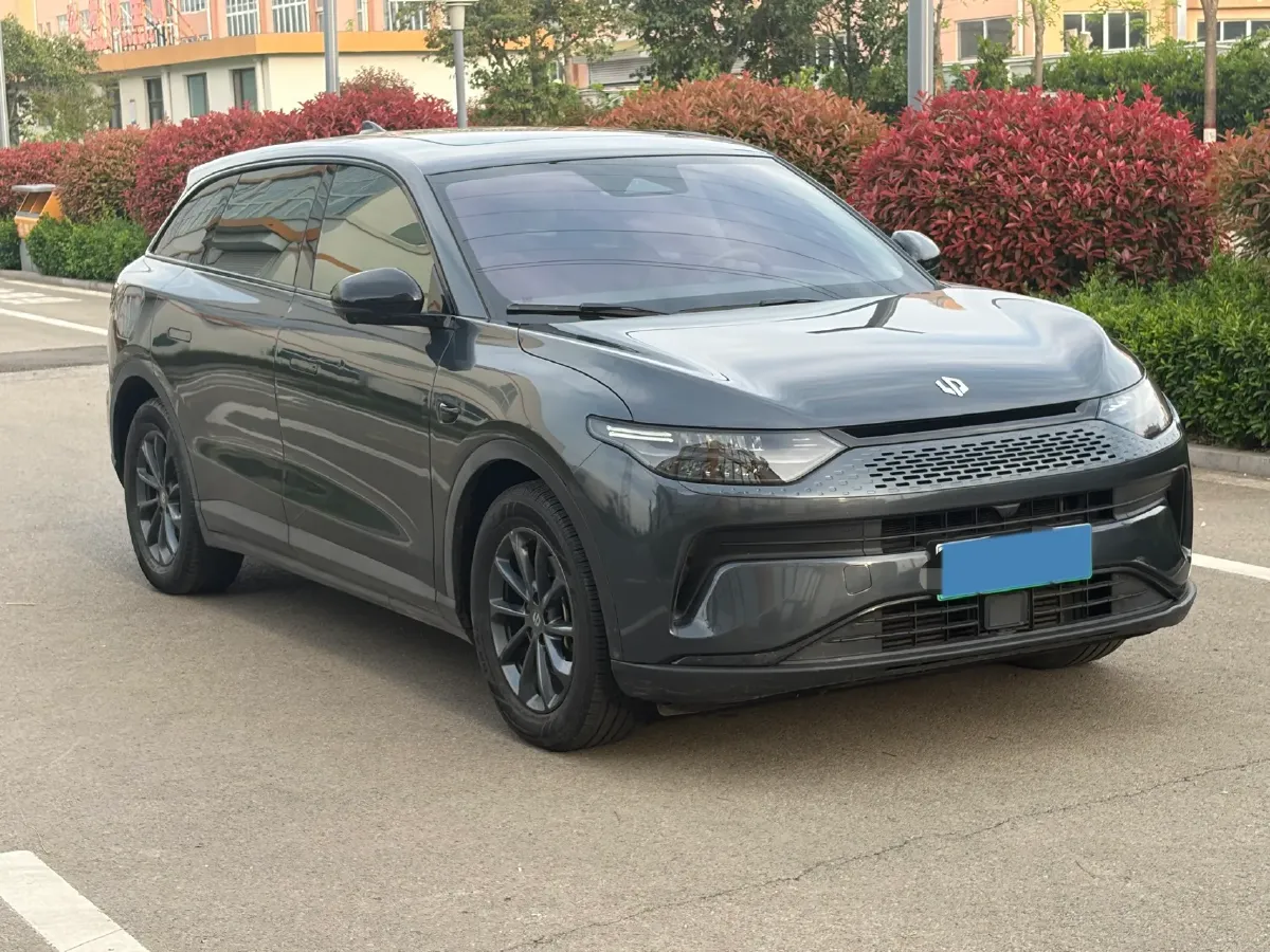 2023 Leapmotor C11 Range Extended 131HP REEV 30.1KWH,autocango,china used car exporter,china ev exporter,chinese used car exporter,chinese used ev exporter