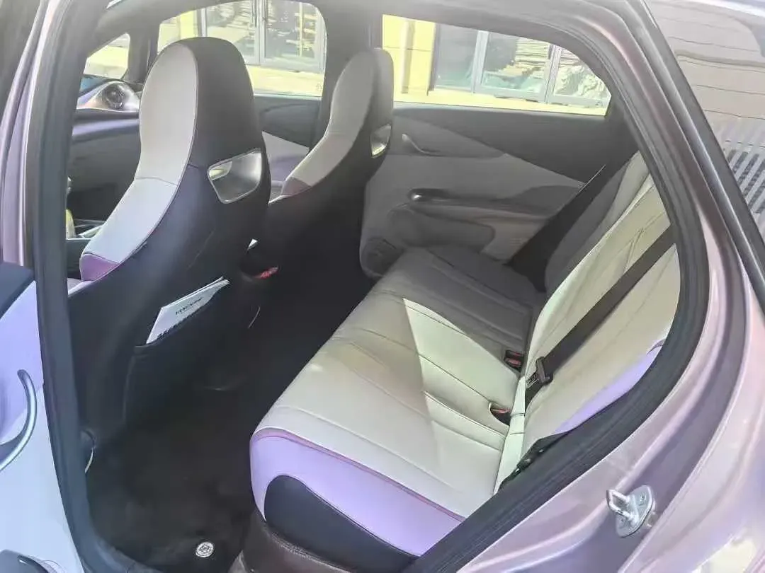 2023 BYD Dolphin BEV 44.928KWH,autocango,china used car exporter,china ev exporter,chinese used car exporter,chinese used ev exporter