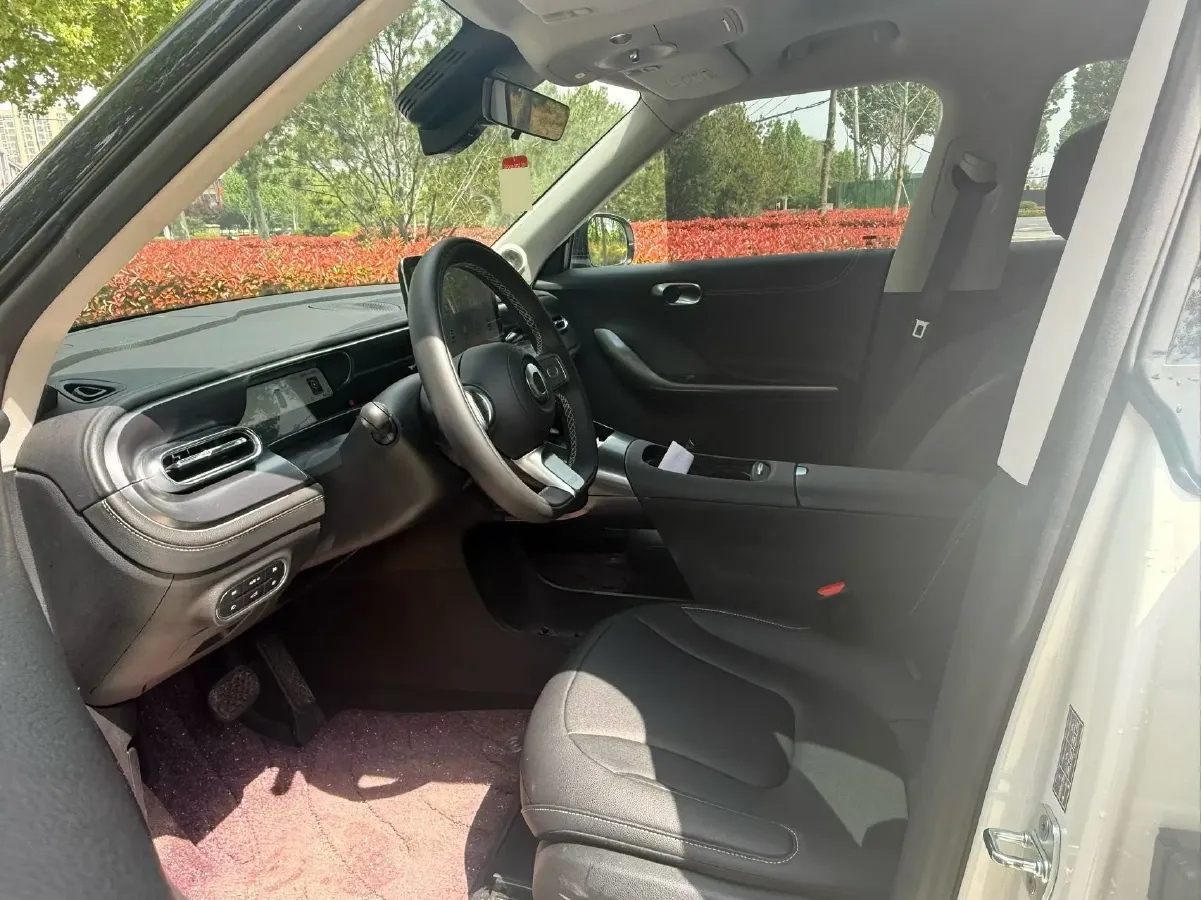 2024 Smart smart Elf 1 BEV 49KWH,autocango,china used car exporter,china ev exporter,chinese used car exporter,chinese used ev exporter