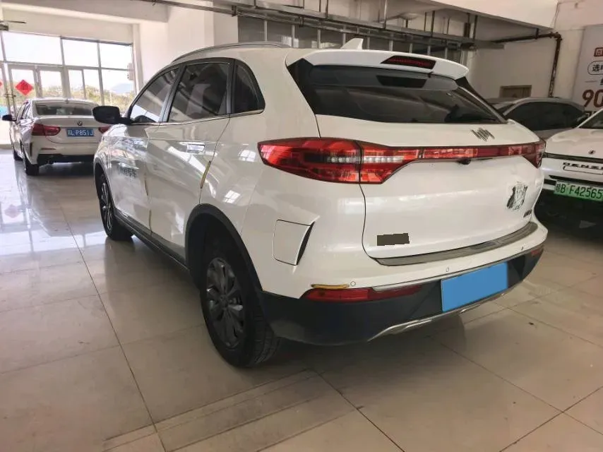 2019 Weltmeister EX5 BEV 69KWH,autocango,china used car exporter,china ev exporter,chinese used car exporter,chinese used ev exporter