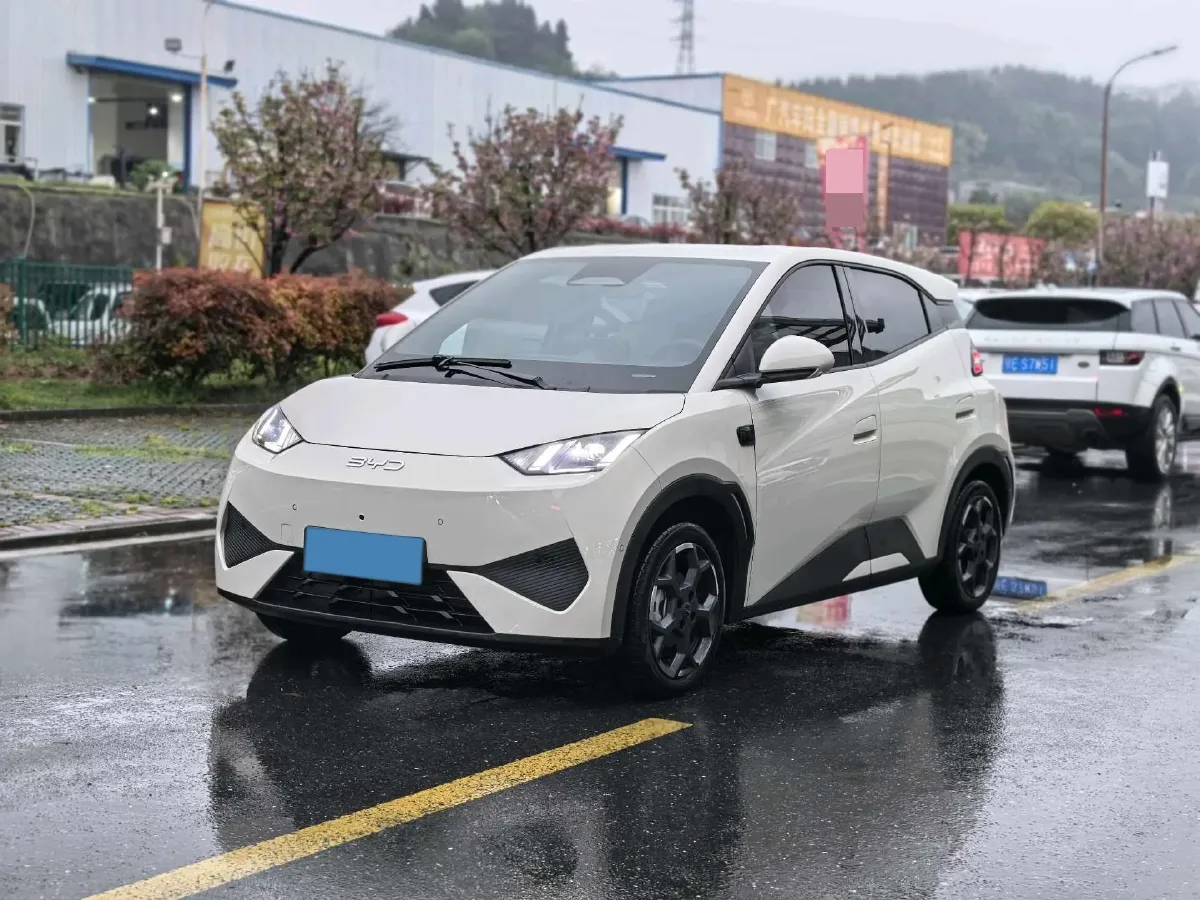 2025 BYD Seagull BEV 38.88KWH,autocango,china used car exporter,china ev exporter,chinese used car exporter,chinese used ev exporter