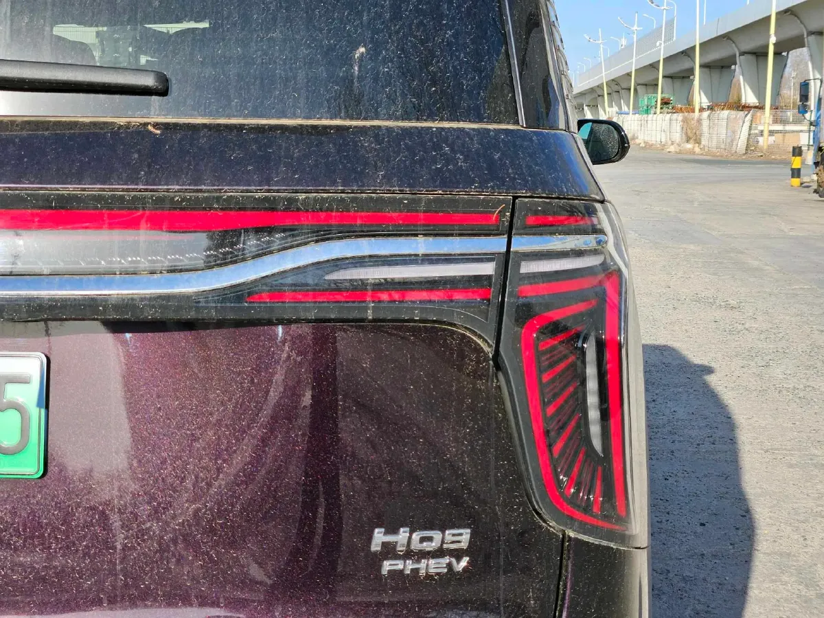 2024 HongQi HQ9 2.0T 163HP L4 1DHT PHEV 20.14KWH,autocango,china used car exporter,china ev exporter,chinese used car exporter,chinese used ev exporter