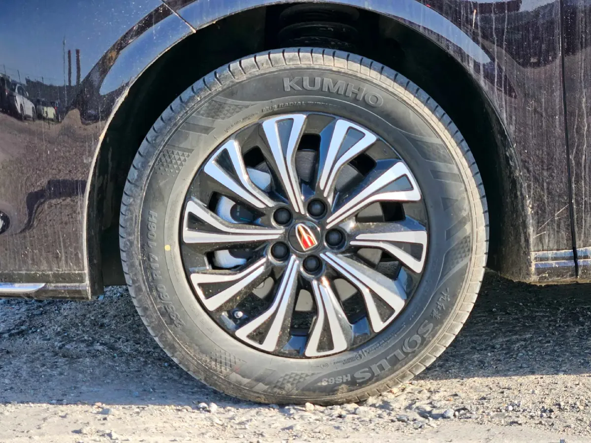 2024 HongQi HQ9 2.0T 163HP L4 1DHT PHEV 20.14KWH,autocango,china used car exporter,china ev exporter,chinese used car exporter,chinese used ev exporter