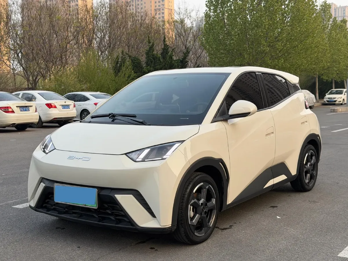 2023 BYD Seagull BEV 30.08KWH,autocango,china used car exporter,china ev exporter,chinese used car exporter,chinese used ev exporter