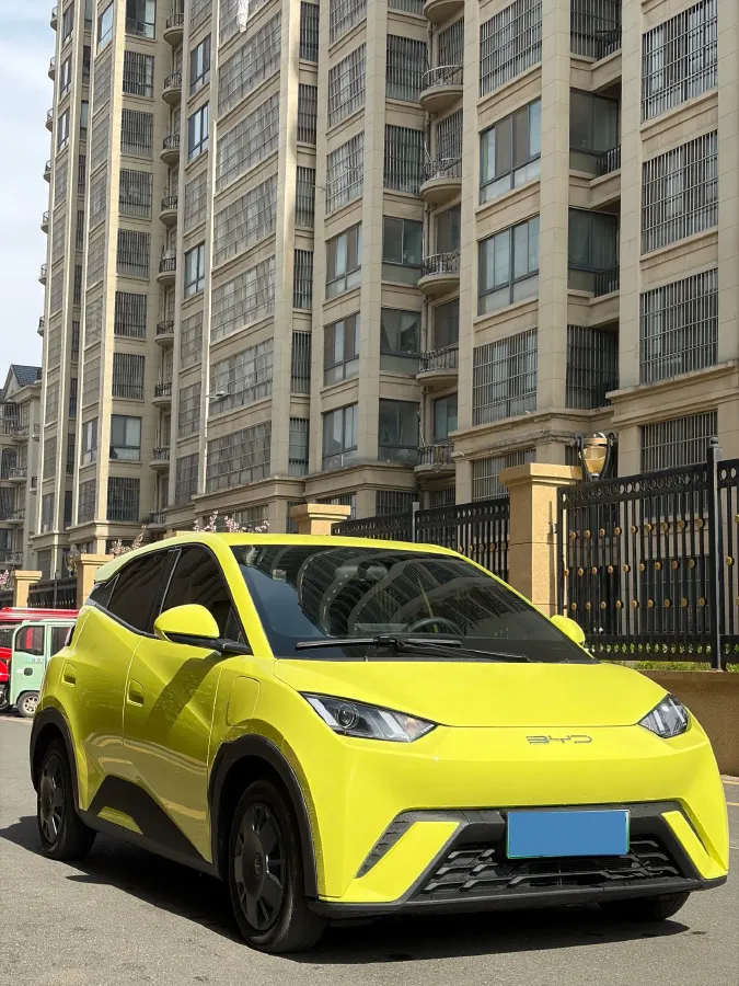 2024 BYD Seagull BEV 30.08KWH,autocango,china used car exporter,china ev exporter,chinese used car exporter,chinese used ev exporter