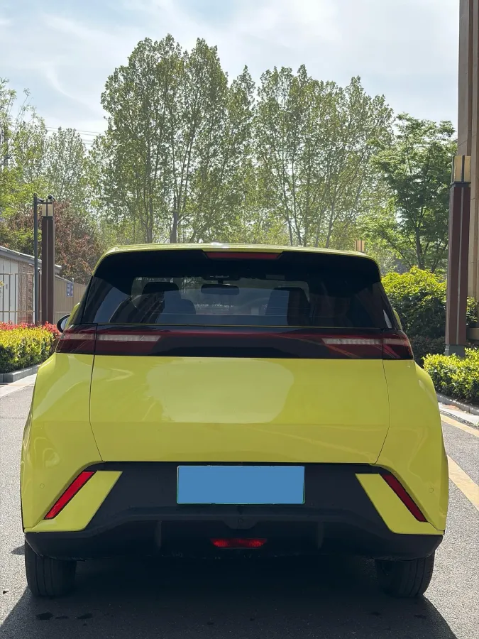 2024 BYD Seagull BEV 30.08KWH,autocango,china used car exporter,china ev exporter,chinese used car exporter,chinese used ev exporter