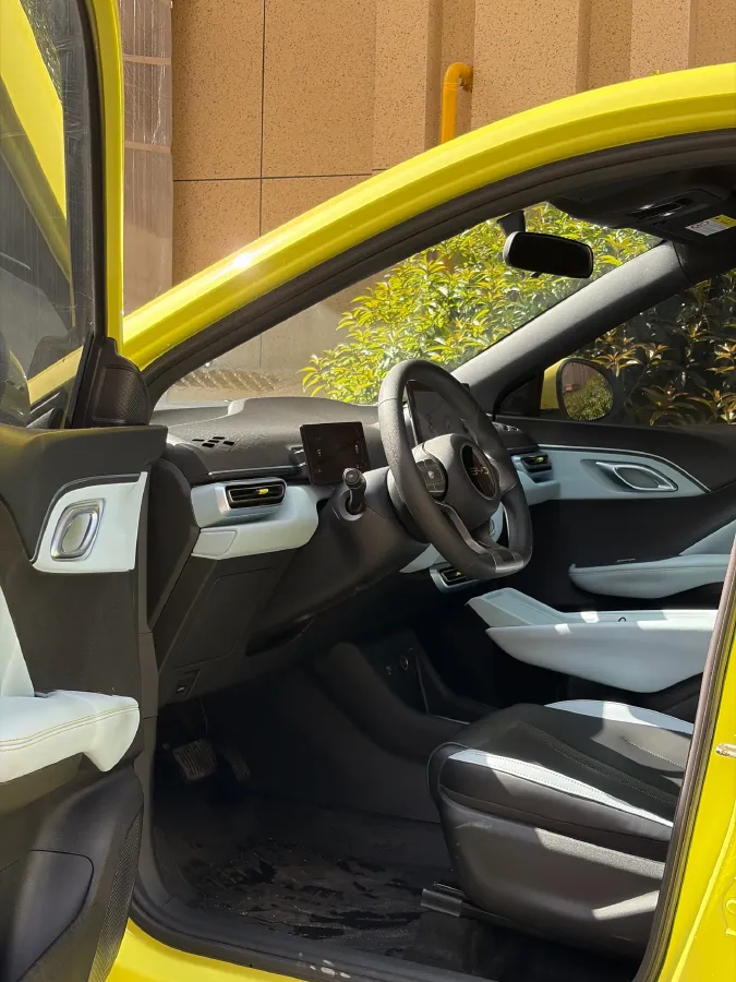 2024 BYD Seagull BEV 30.08KWH,autocango,china used car exporter,china ev exporter,chinese used car exporter,chinese used ev exporter