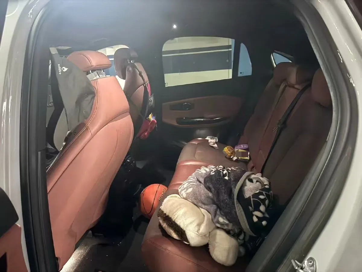 2020 NIO ES6 BEV 100KWH,autocango,china used car exporter,china ev exporter,chinese used car exporter,chinese used ev exporter