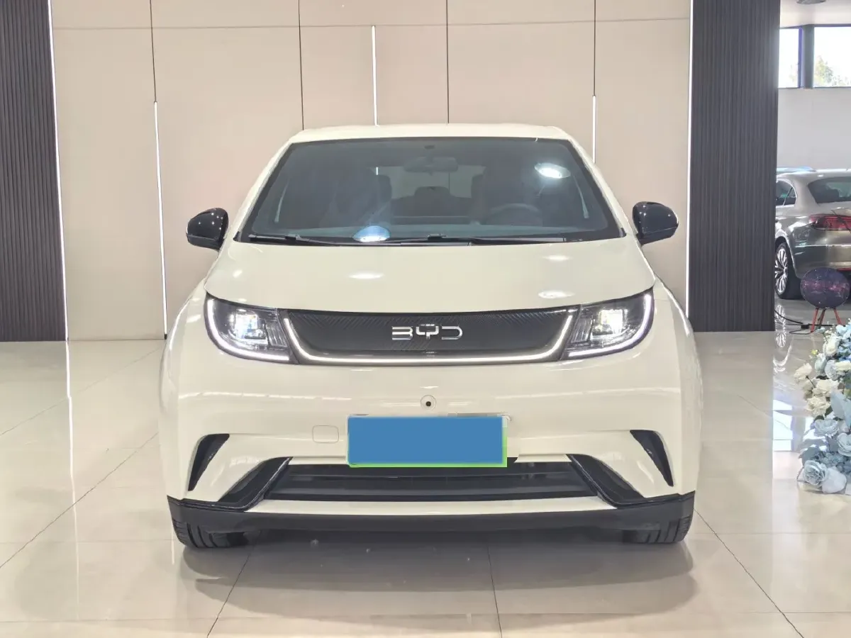 2025 BYD Dolphin BEV 44.928KWH,autocango,china used car exporter,china ev exporter,chinese used car exporter,chinese used ev exporter