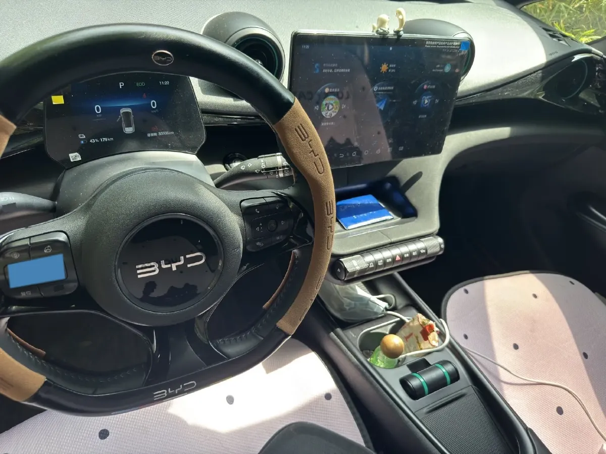 2024 BYD Dolphin BEV 44.928KWH,autocango,china used car exporter,china ev exporter,chinese used car exporter,chinese used ev exporter