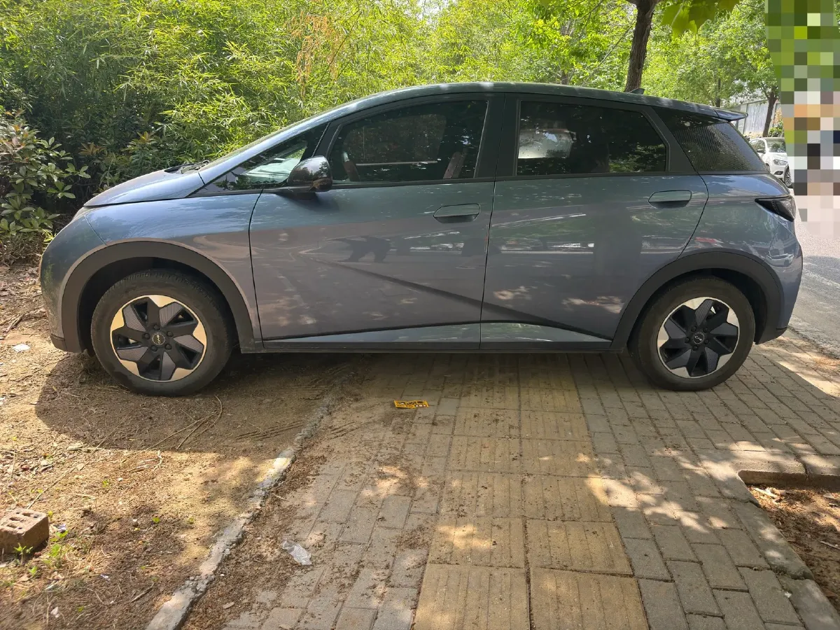 2024 BYD Dolphin BEV 44.928KWH,autocango,china used car exporter,china ev exporter,chinese used car exporter,chinese used ev exporter