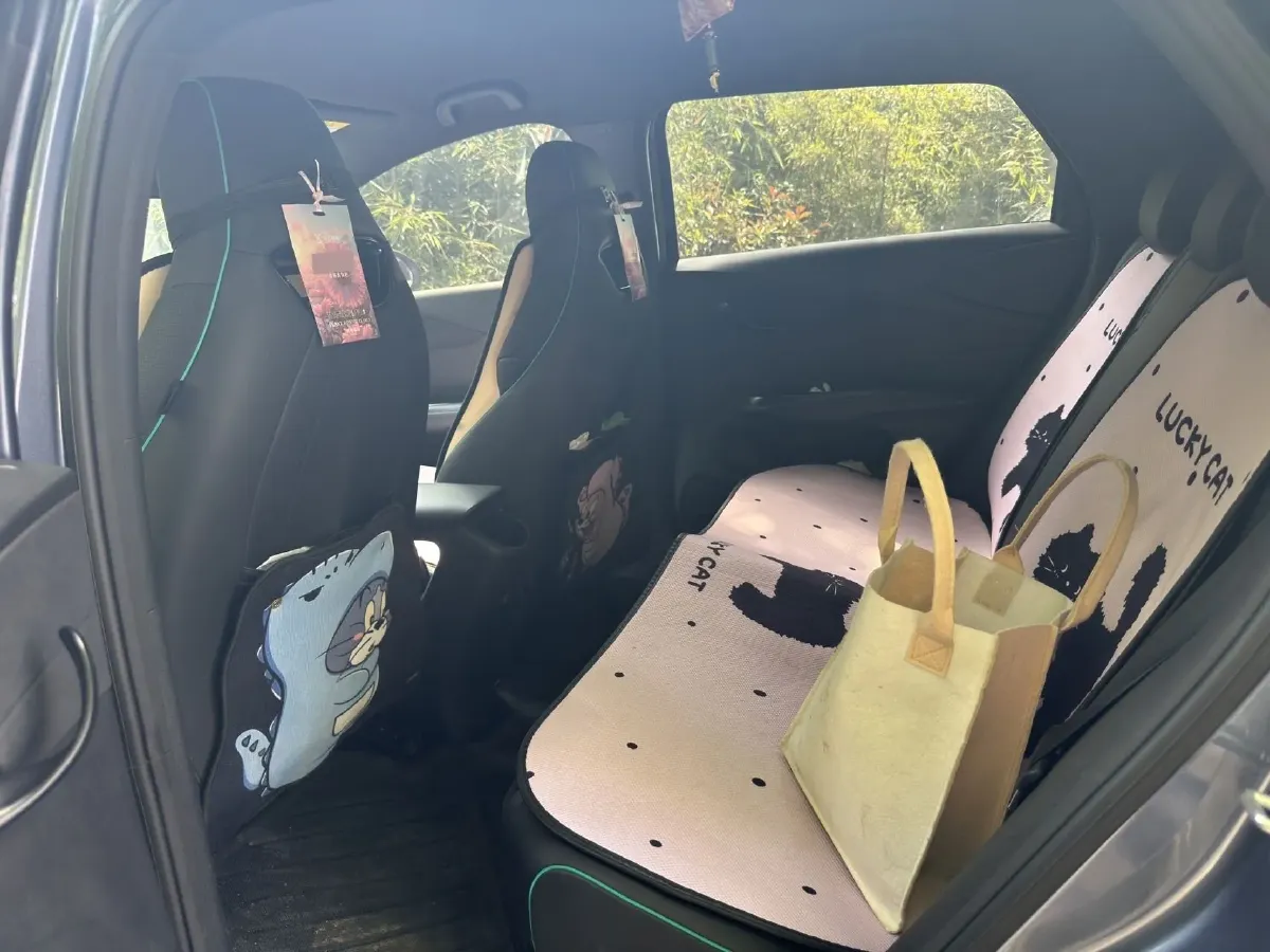 2024 BYD Dolphin BEV 44.928KWH,autocango,china used car exporter,china ev exporter,chinese used car exporter,chinese used ev exporter