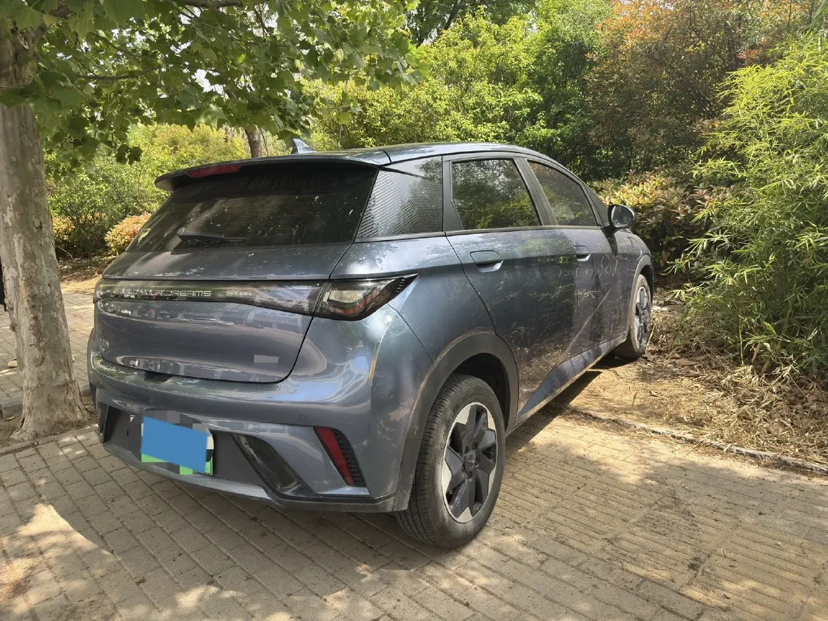 2024 BYD Dolphin BEV 44.928KWH,autocango,china used car exporter,china ev exporter,chinese used car exporter,chinese used ev exporter