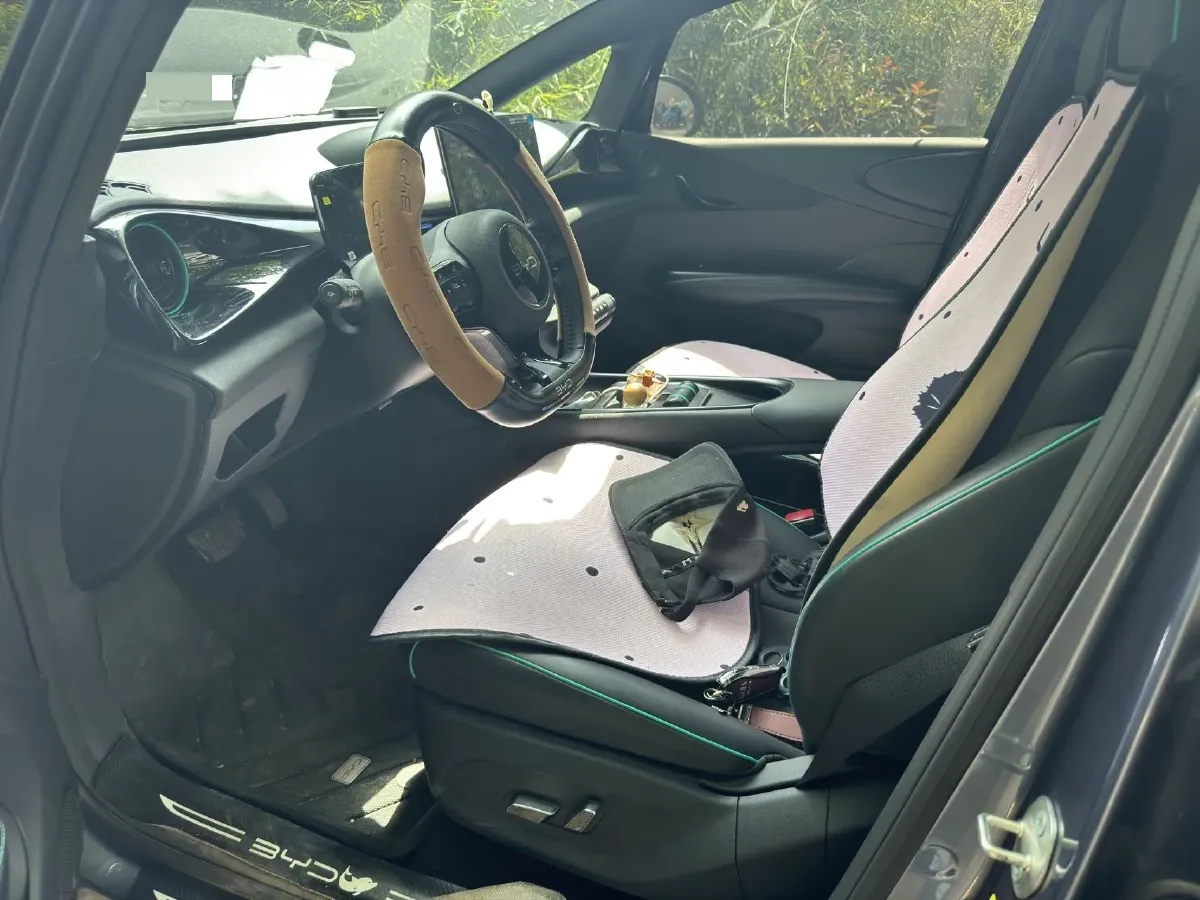 2024 BYD Dolphin BEV 44.928KWH,autocango,china used car exporter,china ev exporter,chinese used car exporter,chinese used ev exporter